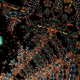 Illustration for article titled Photo Contest: Christmas Lights